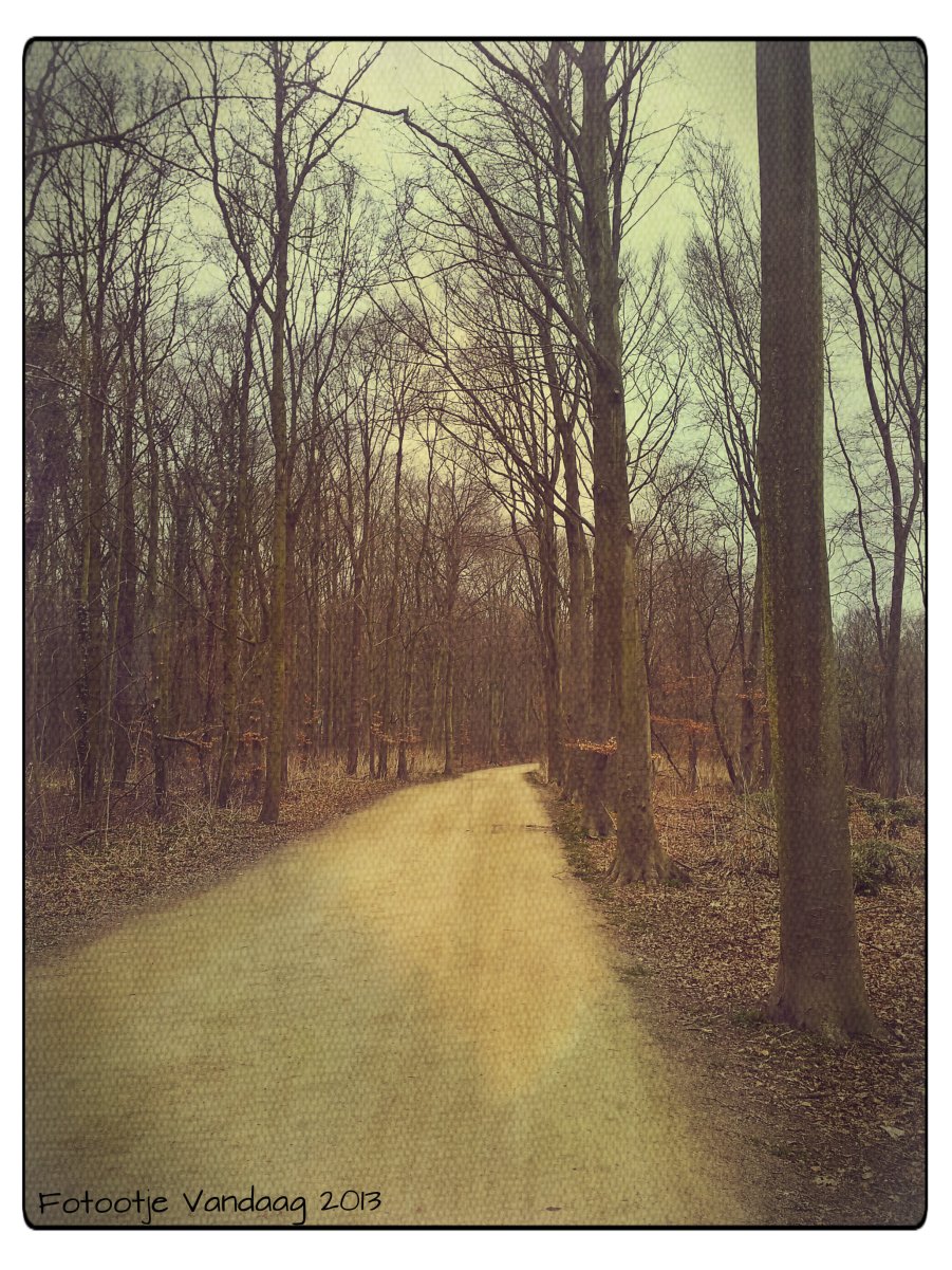 Haagse Bos, 9 pril 2013