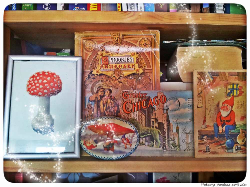 Plank in onze boekenkast.