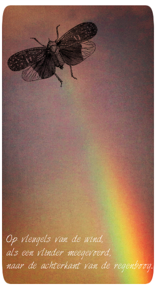 Vleugels van de wind