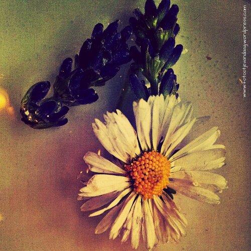 IMG_20130628_084829.jpg image