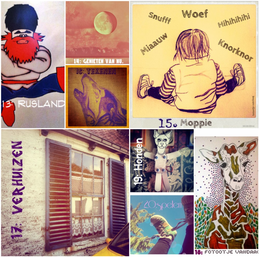 13. Welke plek zou je graag eens willen bezoeken? 14. Waarom ben je een weblog gestart? 15. Wat is je grootste trots in je leven? 16. Waarvan geniet jij het meest? 17. Is er iets wat je al heel lang wil doen maar er nog altijd niet van is gekomen?  18. Op welk zelfgemaakt item ben je het meest trots?  19.Wat vind jij echt onwijs irritant?  20. Wat zijn jouw plannen voor morgen? 