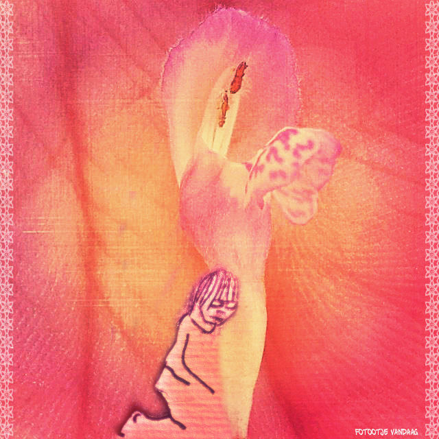 dovenetel met figuur