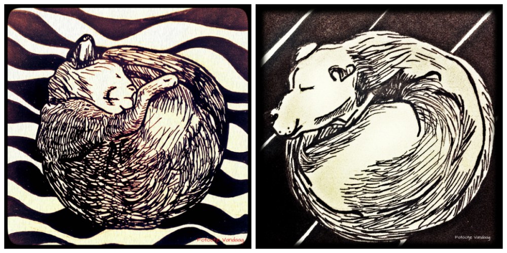 slapende dieren rechthoek