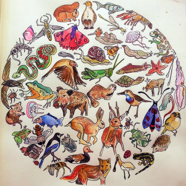 dierenbol kleur klein