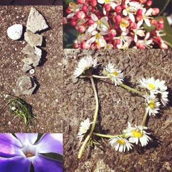 Gevonden schatten tussen het beton.