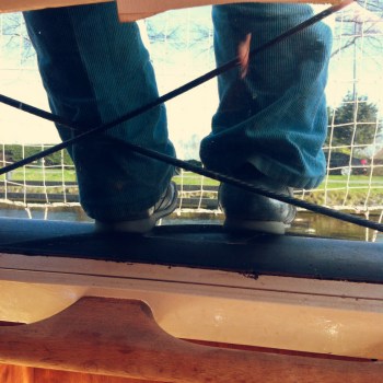 Pollevoetjes vanuit de kombuis.