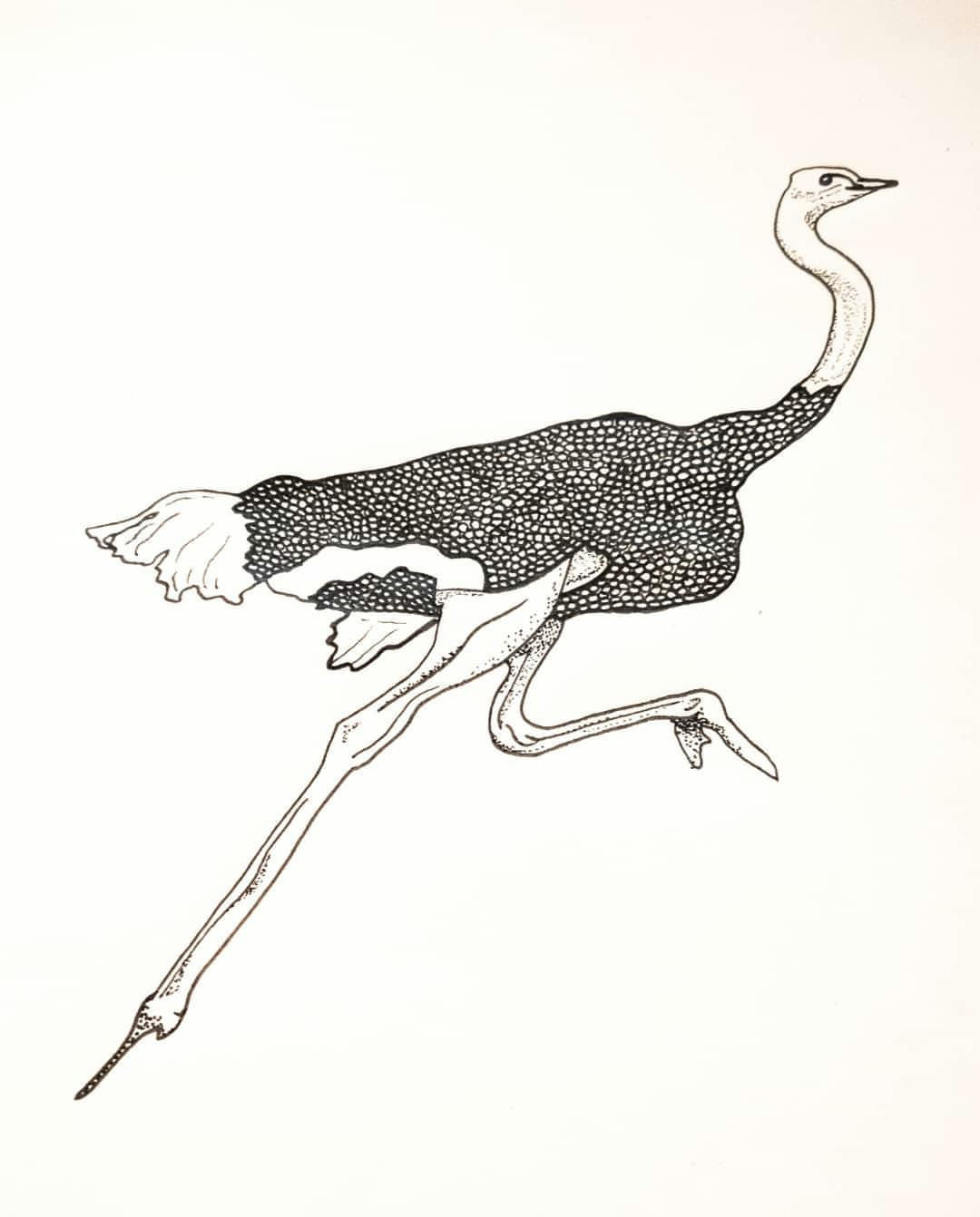 IMG_20200228_172940_020_1